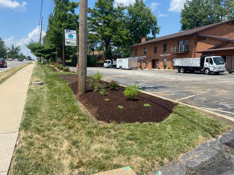 Children's Dental Zone After 1