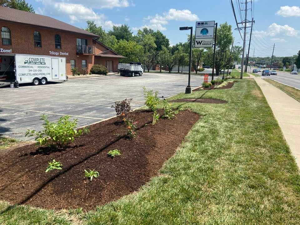 Children's Dental Zone After 3