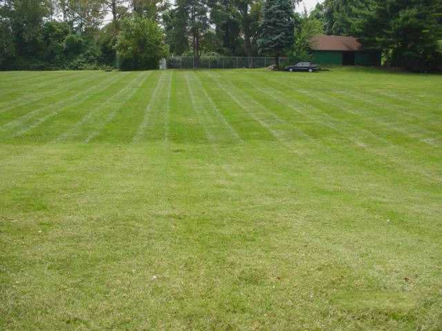 Lawn Maintenance 2