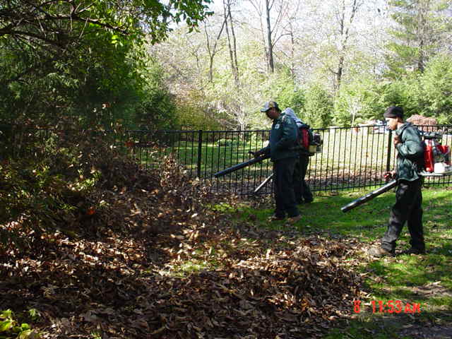 Lawn Maintenance 3