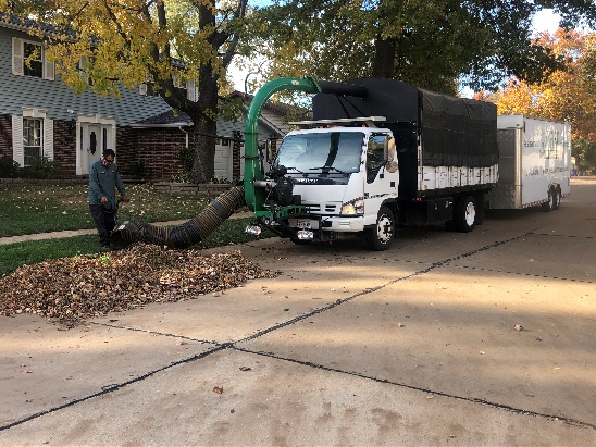 Lawn Maintenance 4