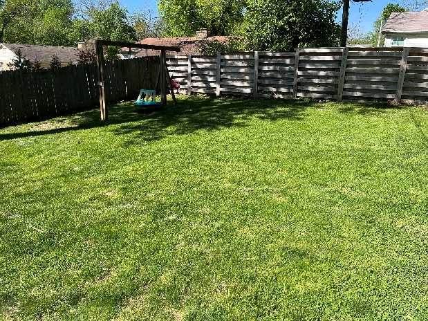 Lawn Maintenance 6
